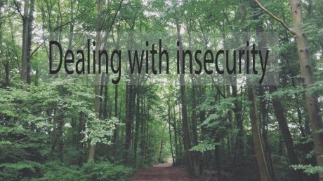Dealing with insecurity